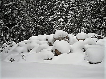 Ehrwald