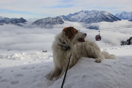 Hahnenkamm