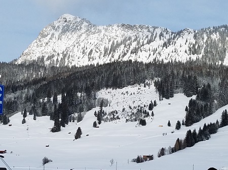Tannheim