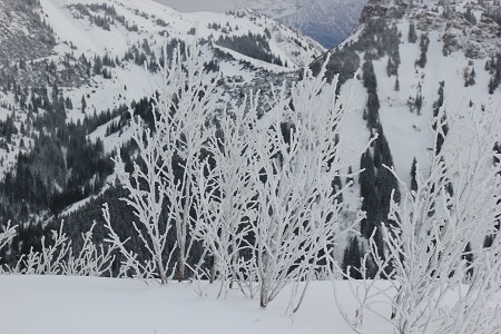Tannheim