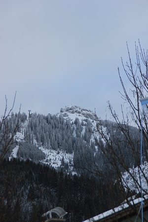 Tannheim