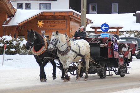 Tannheim
