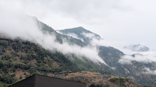 Visp