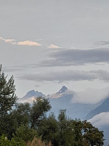 Visp