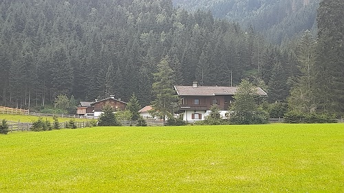 auele