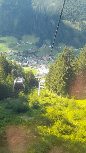 Elfer