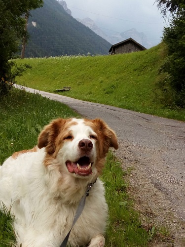 Neustift
