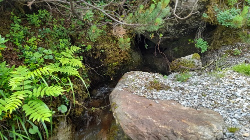 ruetz