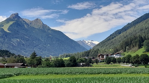 schlick