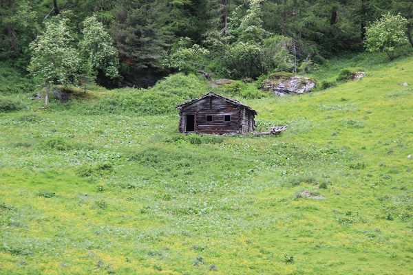 Dorfer Tal