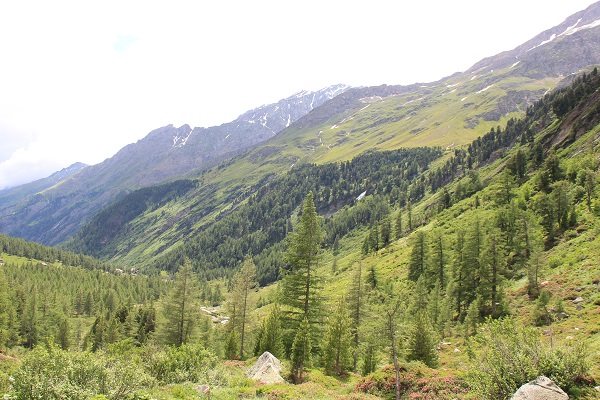 Dorfer Tal