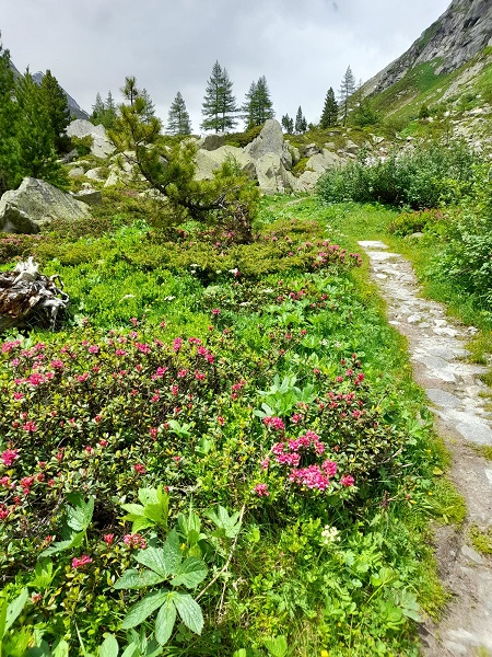 Dorfer Tal