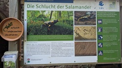 Klingenberg