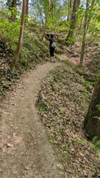 Klingenberg