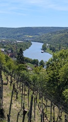 Klingenberg