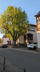 Klingenberg