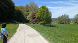 Klingenberg