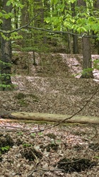 Klingenberg