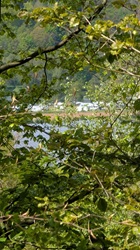Klingenberg