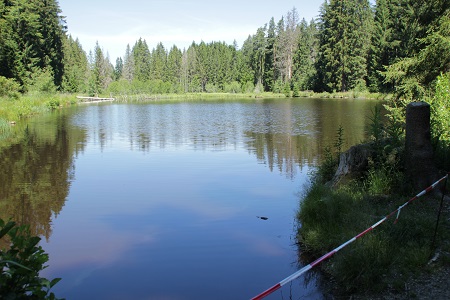 Titisee