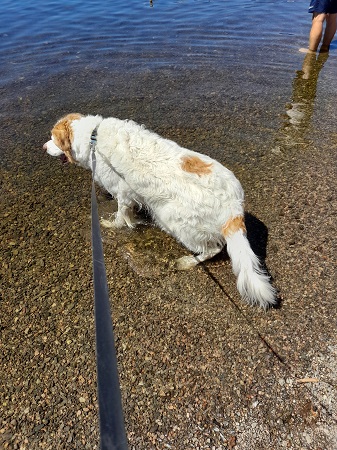 Titisee
