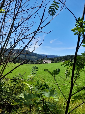 Titisee