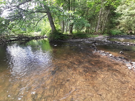 Wutachschlucht