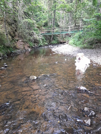 Wutachschlucht
