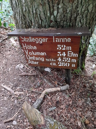 Wutachschlucht