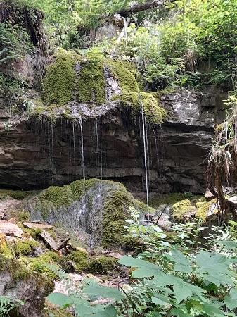 Wutachschlucht