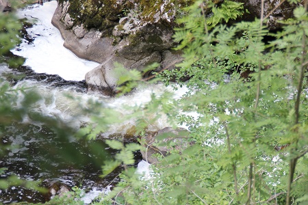 Wutachschlucht