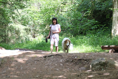 Wutachschlucht