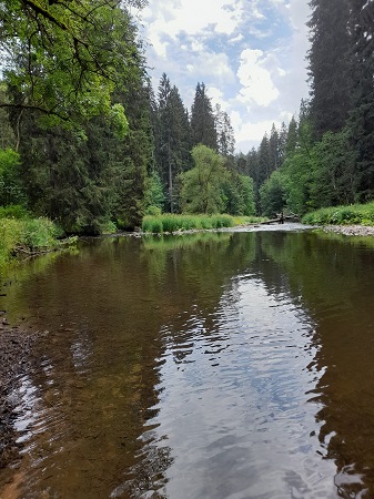 Wutachschlucht