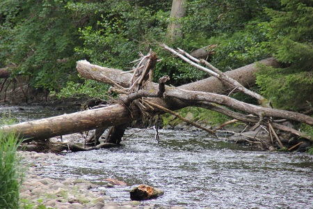 Wutachschlucht