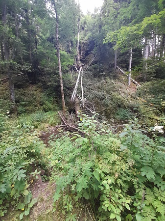 Lotenbachklamm