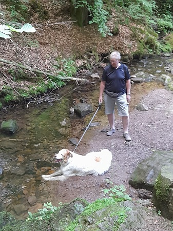 Lotenbachklamm