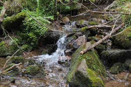 Lotenbachklamm