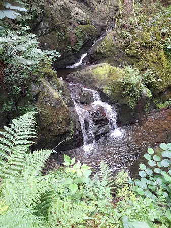 Lotenbachklamm