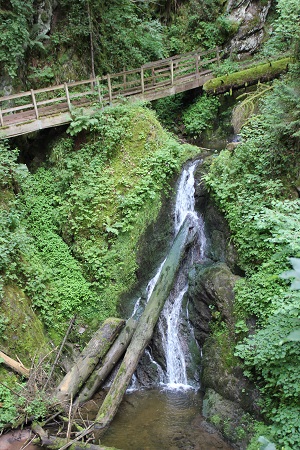 Lotenbachklamm