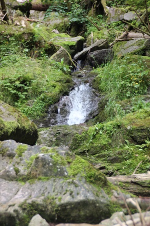 Lotenbachklamm