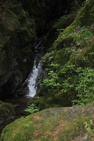 Lotenbachklamm