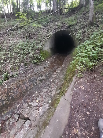 Lotenbachklamm