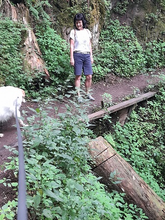 Lotenbachklamm