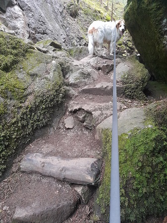 Lotenbachklamm