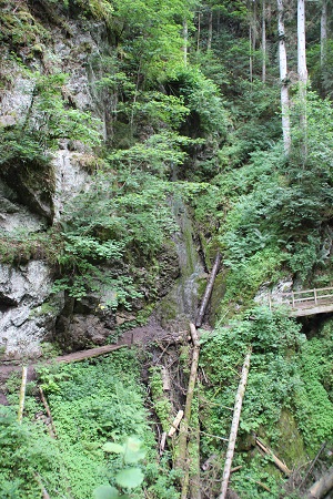 Lotenbachklamm