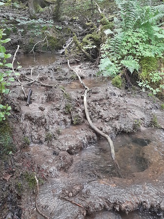 Lotenbachklamm
