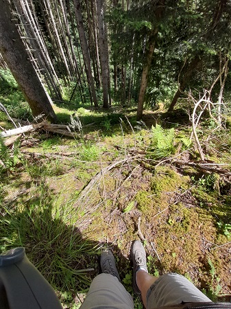 Lotenbachklamm