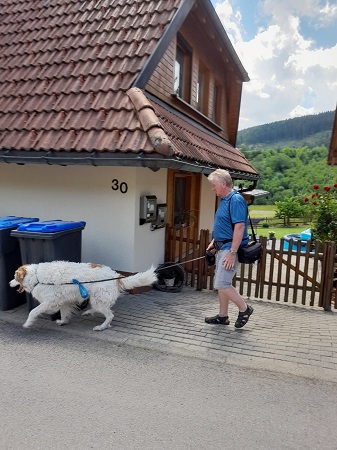 Windgfaellweiher