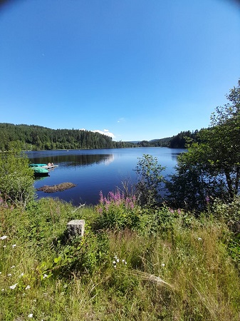 Windgfaellweiher