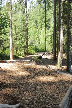 Windgfaellweiher